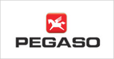 Pegaso 